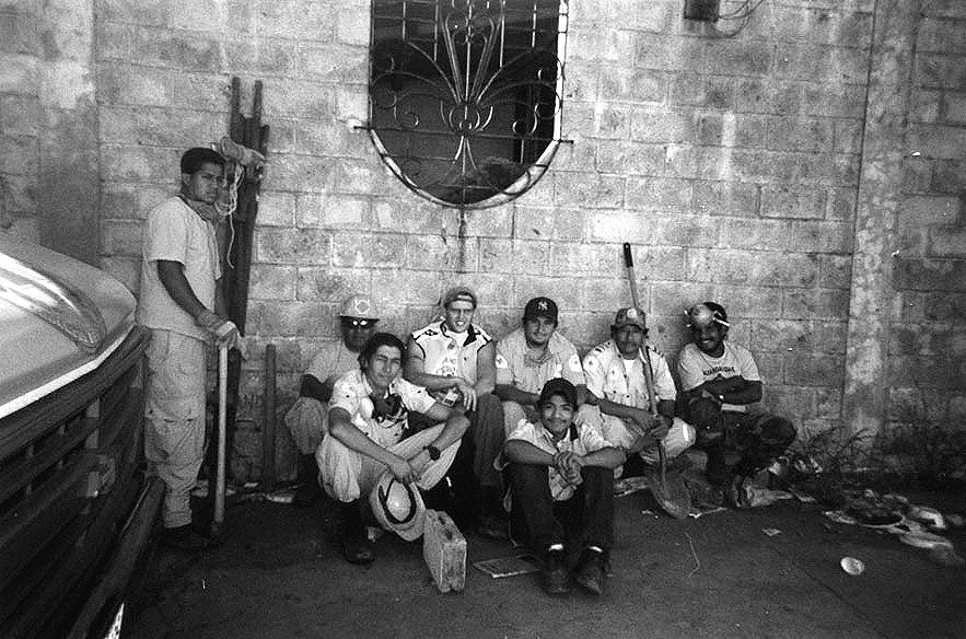 bwmegrupo.jpg (234360 bytes)